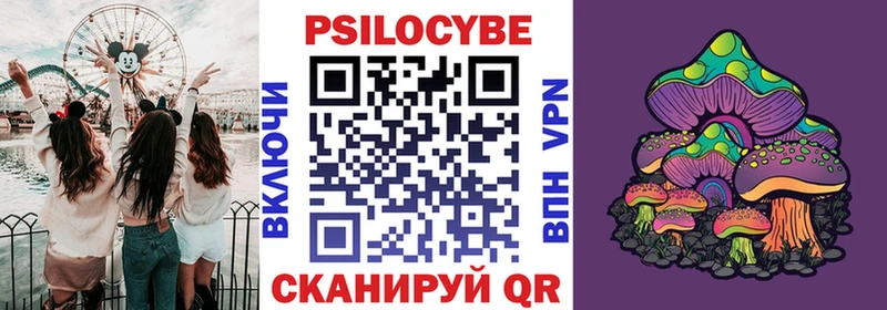 omg ONION  где купить наркоту  Задонск  Псилоцибиновые грибы мухоморы 